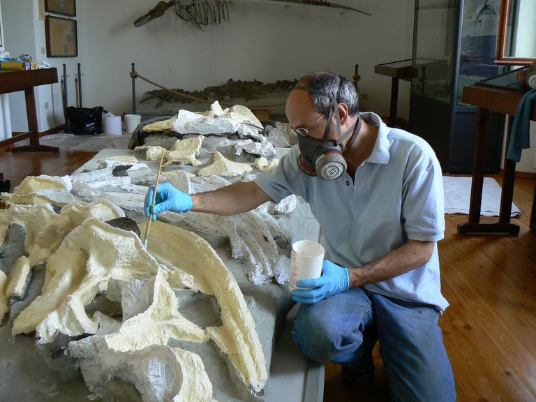 Festa scuola Ale 021